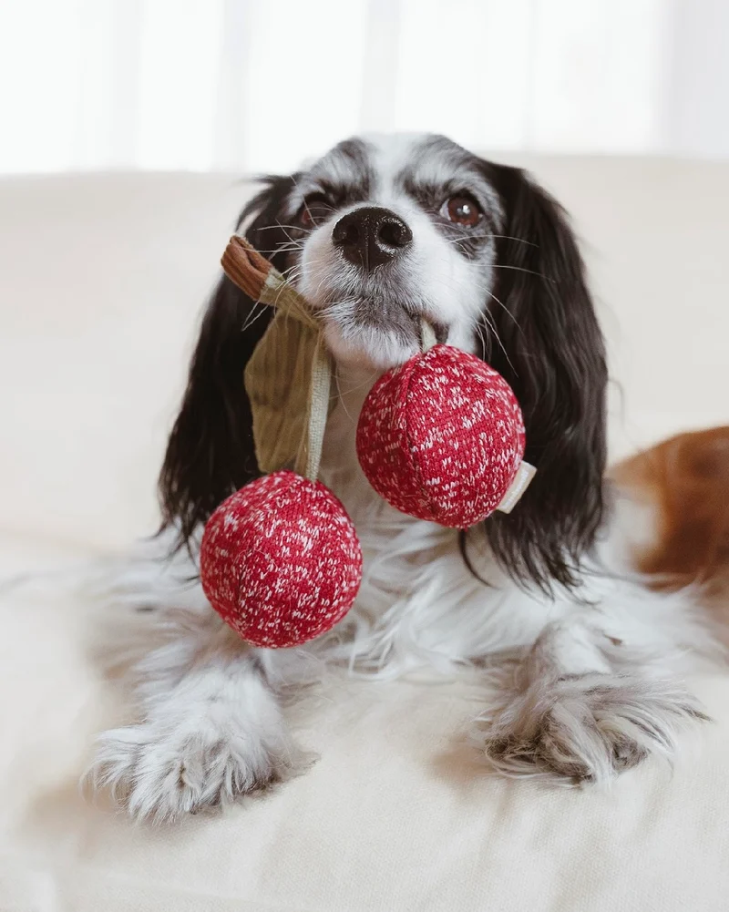 Hundespielzeug Cherry Pop