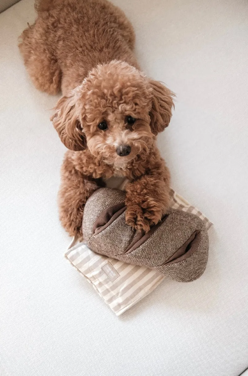 Hundespielzeug Brot