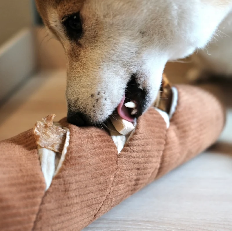 Hundespielzeug Baguette