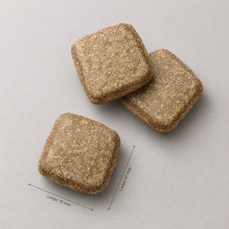 Adult mature mini - Fish delicacy