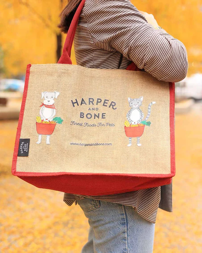Harper & Bone shopping bag