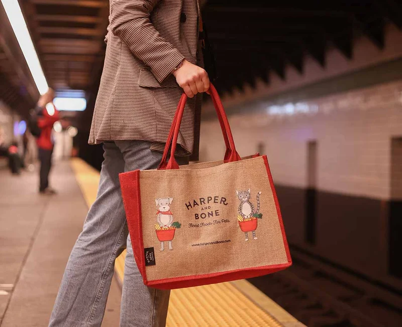 Harper & Bone shopping bag