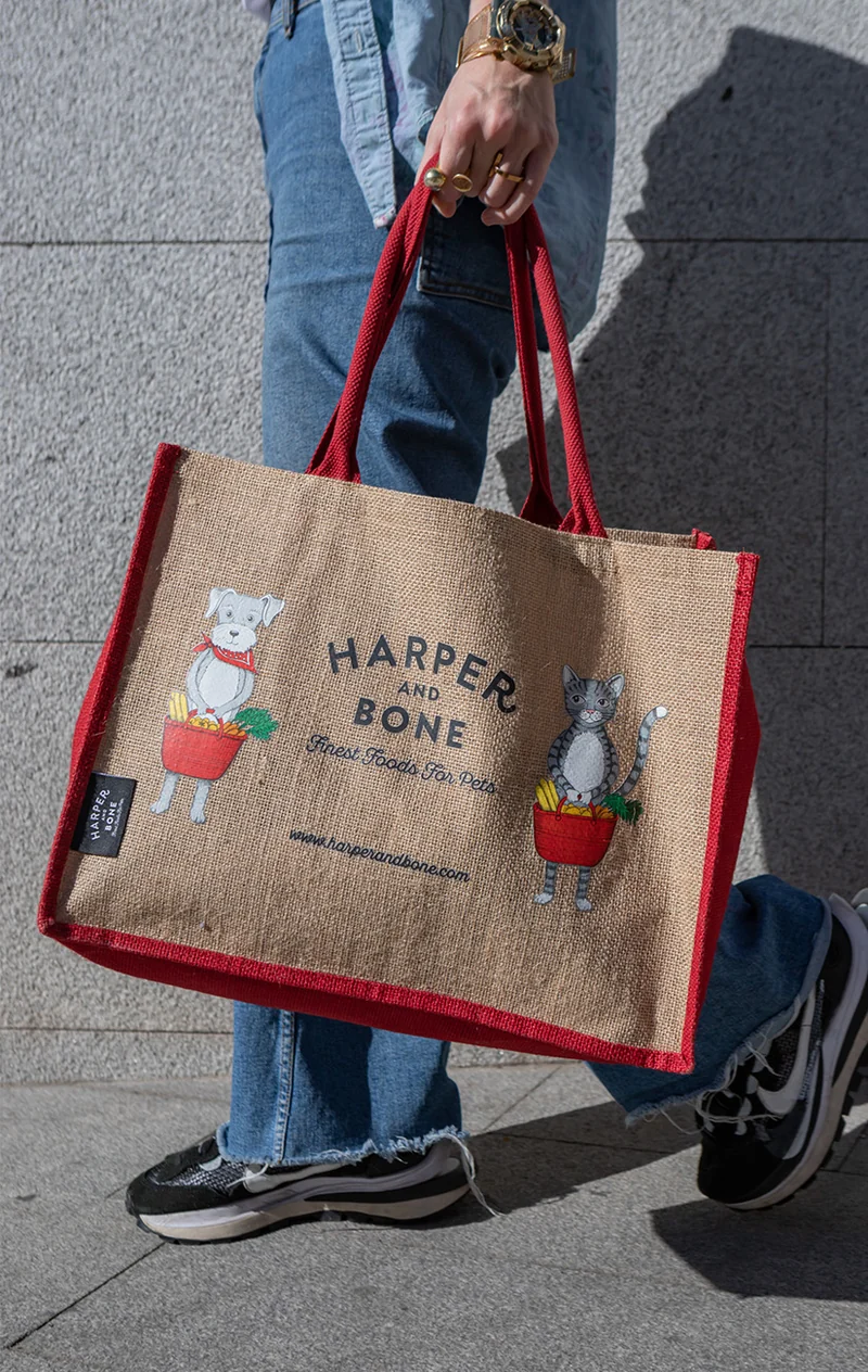 Harper & Bone shopping bag