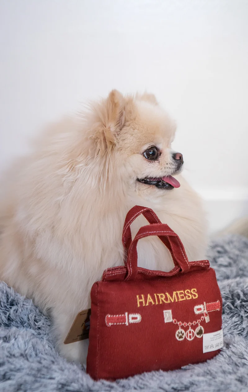 Hairmess