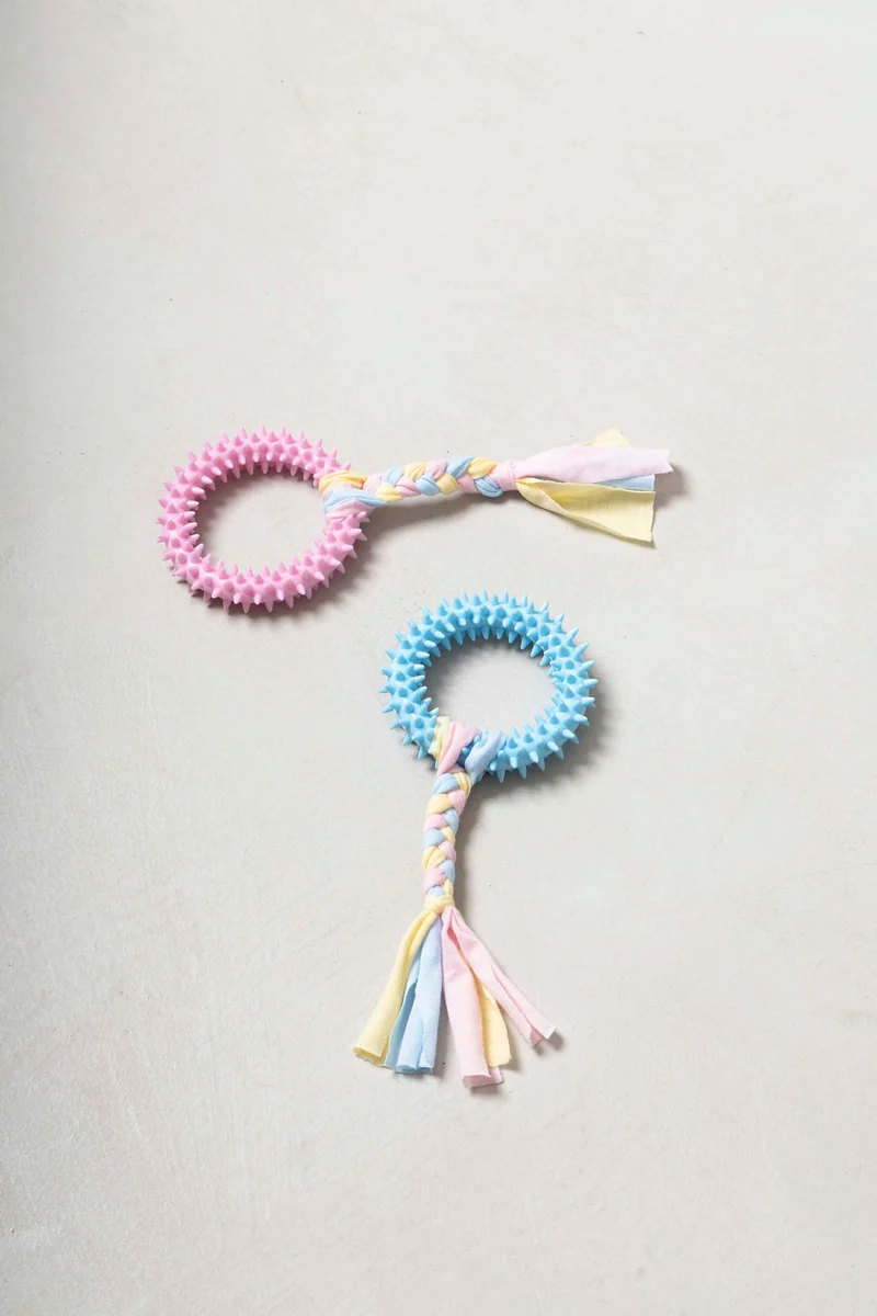 Anillo dental - juguete para perros