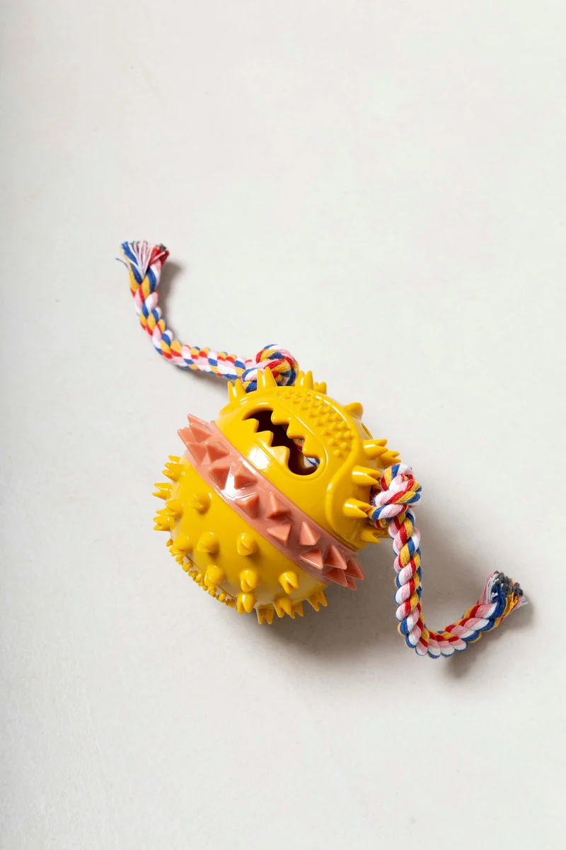 Dental Squeaky