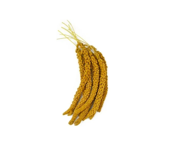 Gelbe Hirse 1kg - Bird-X Grizo