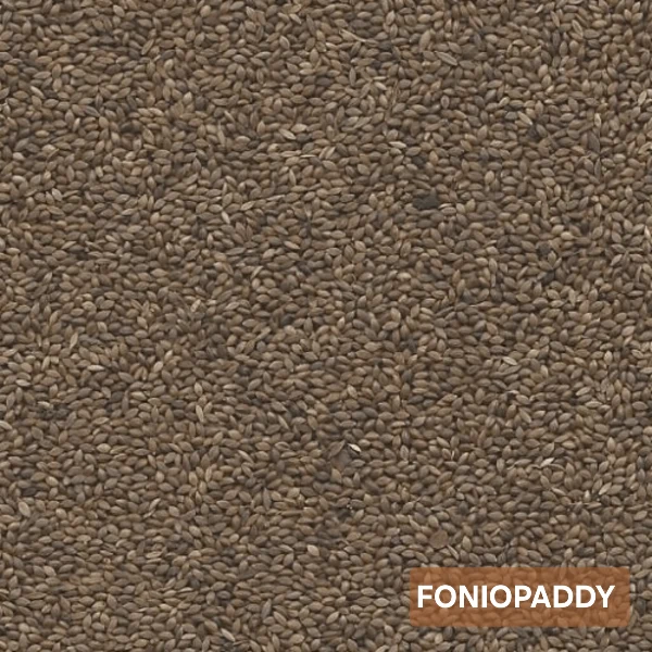 Foniopaddy 1kg GoldBird (selbstverpackt)