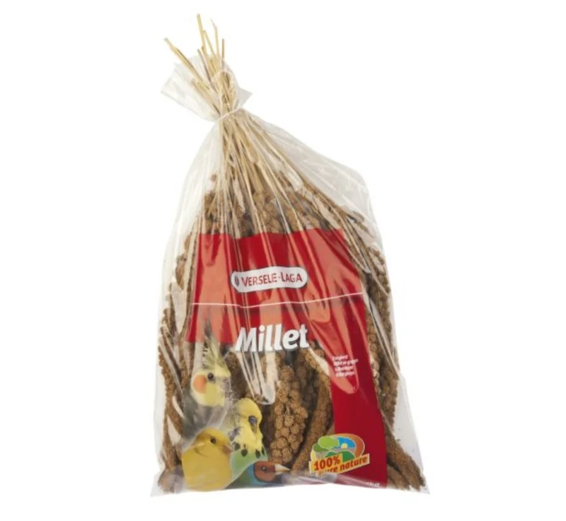 Prestige Gelbhirse 1kg - Hochwertige Gelbhirsesamen