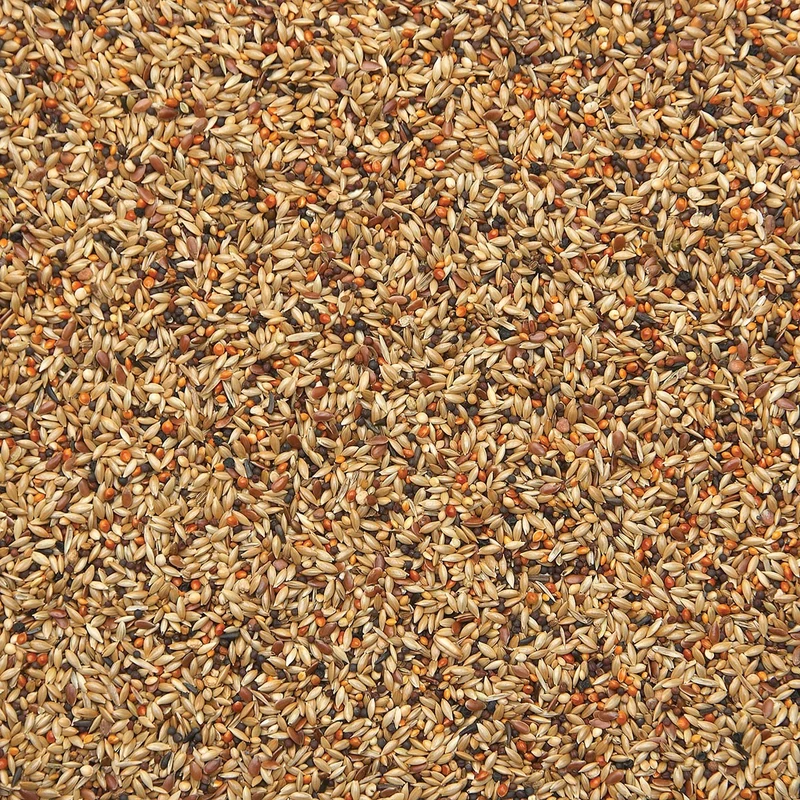 Finches Sport 20kg Excellent 481 - Bird Supreme