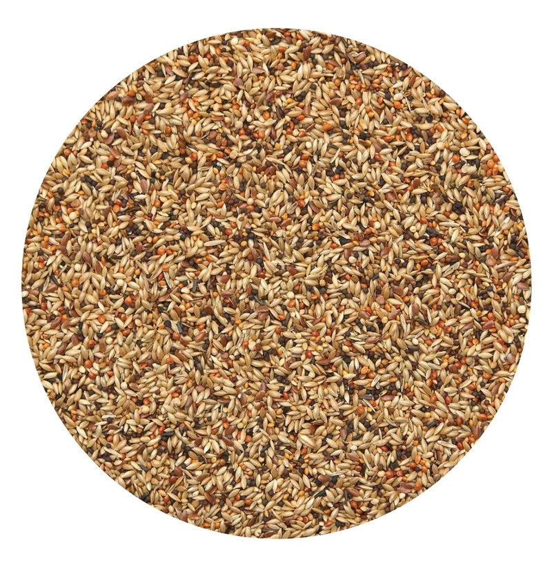 Finches Sport 20kg Excellent 481 - Bird Supreme