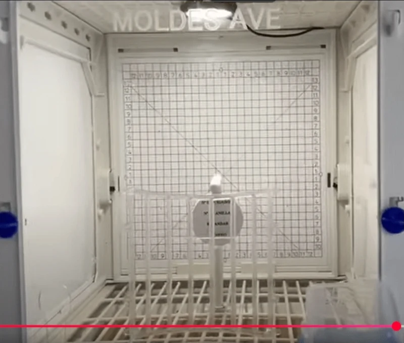 Fotokäfig & Präsentationskäfig - MA Käfig - Moldes Avenue