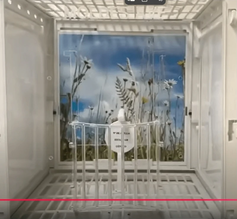 Fotokäfig & Präsentationskäfig - MA Käfig - Moldes Avenue