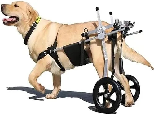 Cadeira de Rodas para Cães, para patas traseiras, Ajustável, Confortável e de Elevada Qualidade