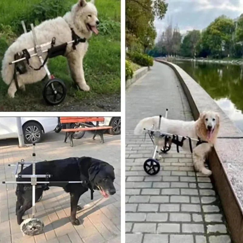 Cadeira de Rodas para Cães, para patas traseiras, Ajustável, Confortável e de Elevada Qualidade