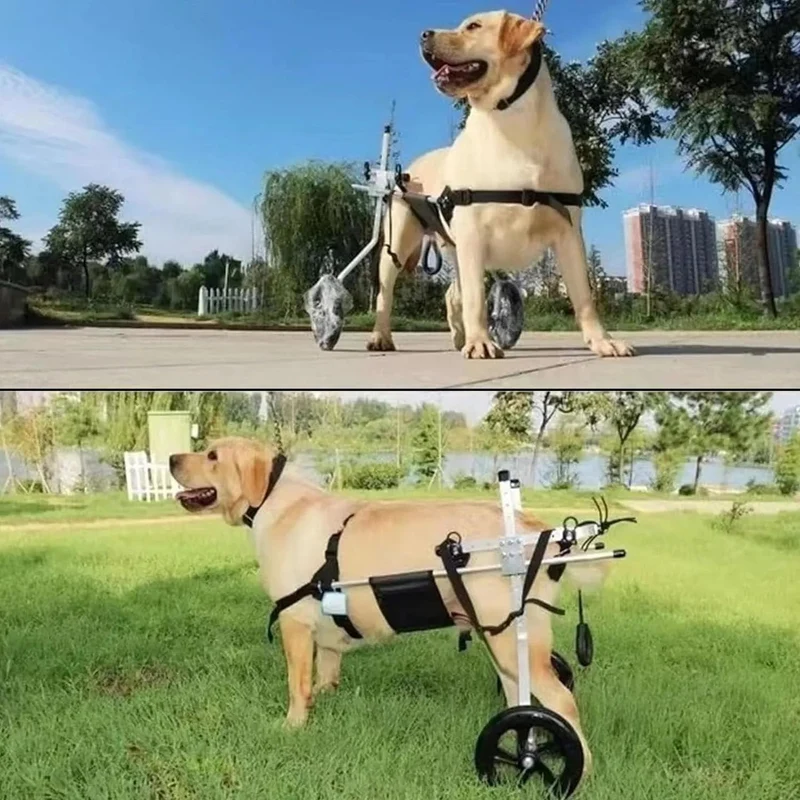 Cadeira de Rodas para Cães, para patas traseiras, Ajustável, Confortável e de Elevada Qualidade