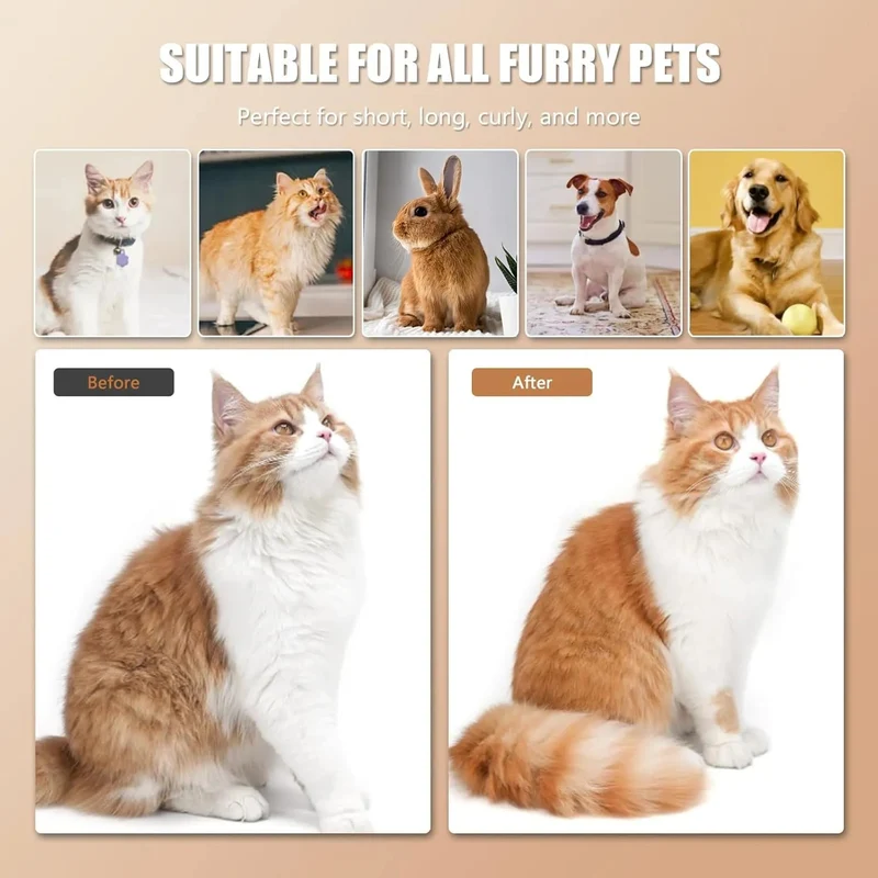 Escova para gatos 4-em-1 com Vapor