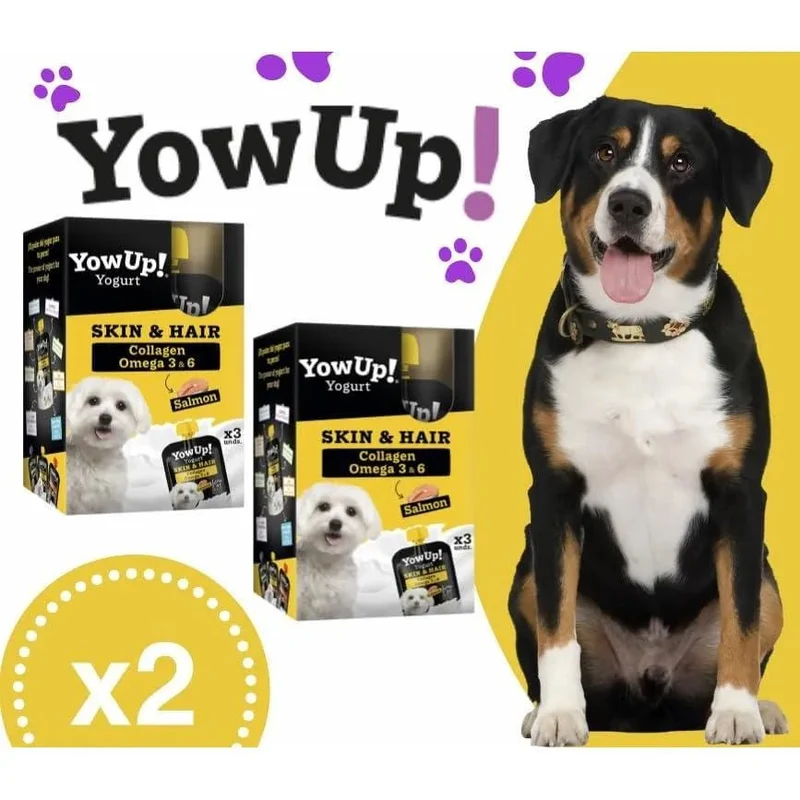 YowUp! Yogurt para cães: Snacks deliciosos naturais e saudáveis para o seu Pet (6 unidades, salmão)