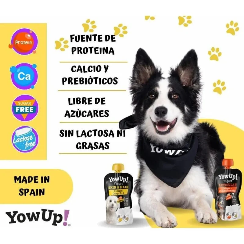 YowUp! Yogurt para cães: Snacks deliciosos naturais e saudáveis para o seu Pet (6 unidades, salmão)