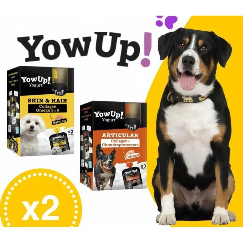 YowUp! Yogurt para cães: Snacks deliciosos naturais e saudáveis para o seu Pet (6 unidades) (3 frango + 3 salmão)