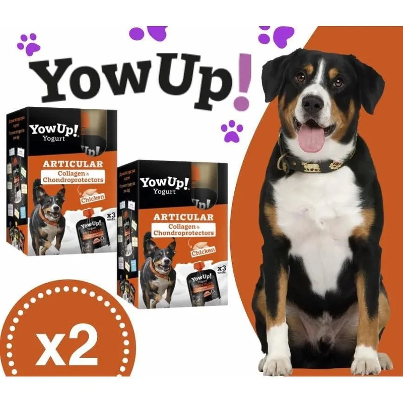 YowUp! Yogurt para cães: Snacks deliciosos naturais e saudáveis para o seu Pet (6 unidades de frango)