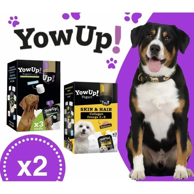 YowUp! Yogurt para cães: Snacks deliciosos naturais e saudáveis para o seu Pet (6 unidades) (3 natural + 3 salmão)