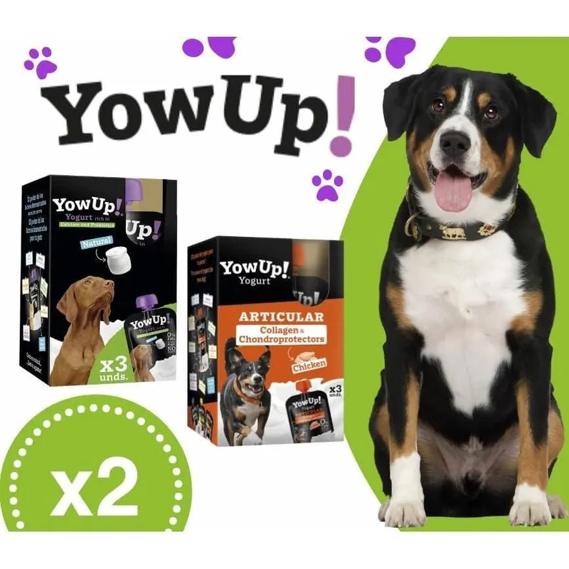 YowUp! Yogurt para cães: Snacks deliciosos naturais e saudáveis para o seu Pet - 3 sabores disponíveis (6 unidades) (3 natural + 3 frango)