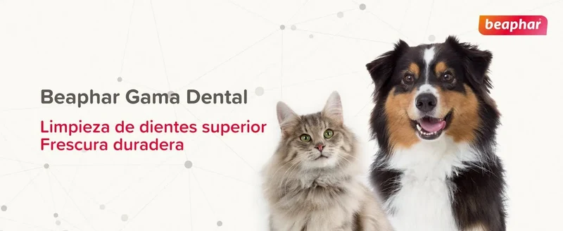 Beaphar Dental Plus para cães e gatos