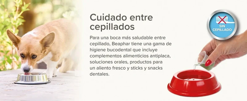 Beaphar Dental Plus para cães e gatos