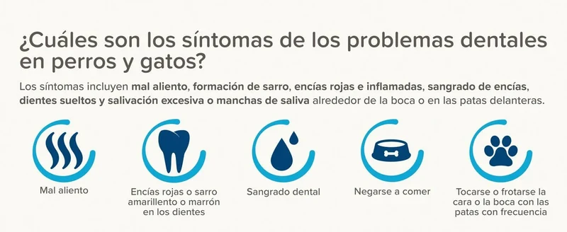 Beaphar Dental Plus para cães e gatos
