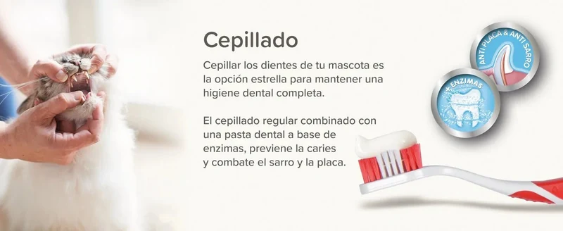 Beaphar Dental Plus para cães e gatos