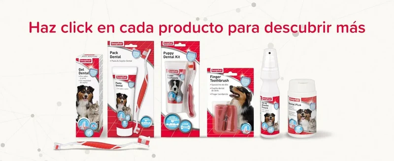Beaphar Dental Plus para cães e gatos