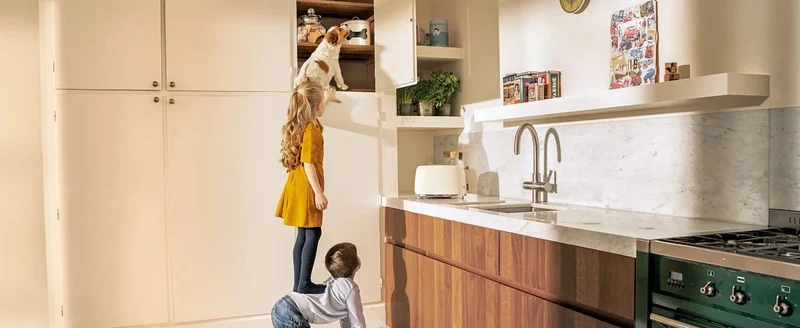 Beaphar Dental Plus para cães e gatos