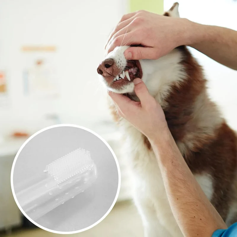 12 Dedeiras / Escova de dentes, suave, em silicone, para cães ou gatos