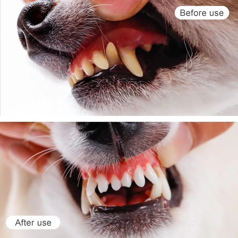 12 Dedeiras / Escova de dentes, suave, em silicone, para cães ou gatos