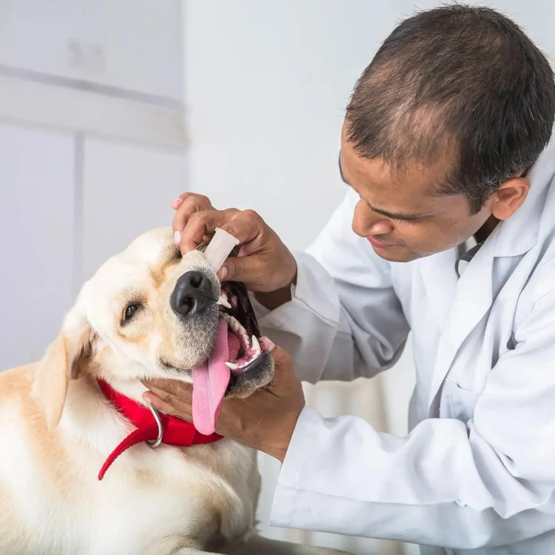 12 Dedeiras / Escova de dentes, suave, em silicone, para cães ou gatos
