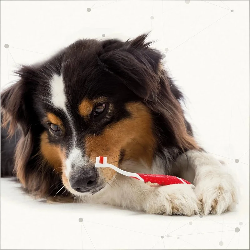 Beaphar Dog-a-Dent escova de dentes para cães e gatos
