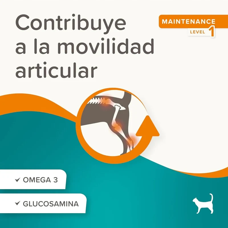 Beaphar Flexifit bits - Snack articular para gatos - sabor a peixe, ômega 3, glucosamina - 35 g