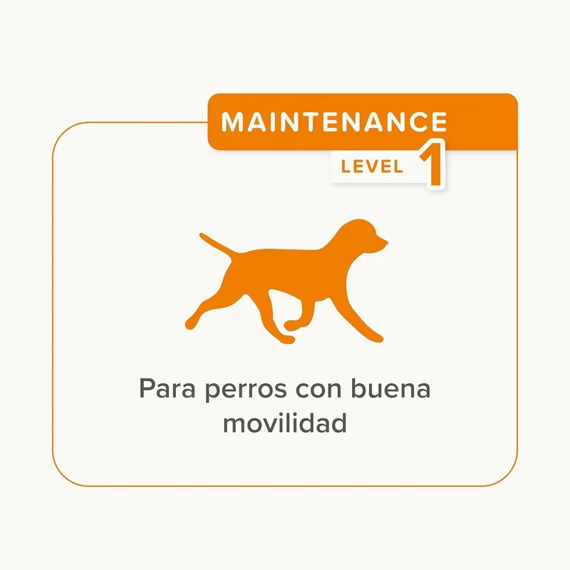 Beaphar Flexifit Sticks - barras articulares para cães ativos - sabor de carne, ômega 3, glucosamina e mexilhão de lábio verde - 175 g