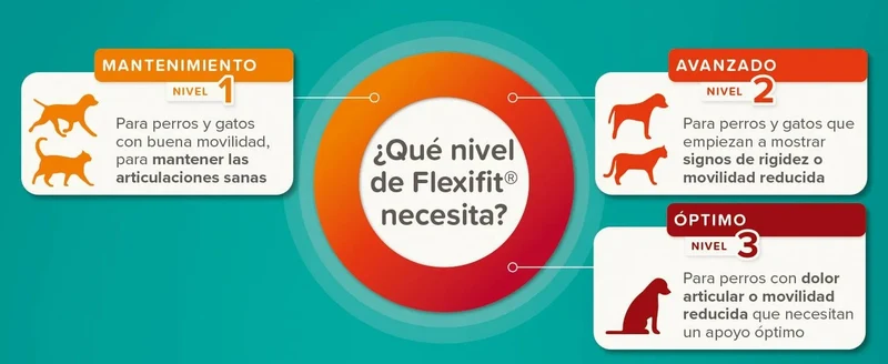 Beaphar Flexifit Sticks - barras articulares para cães ativos - sabor de carne, ômega 3, glucosamina e mexilhão de lábio verde - 175 g