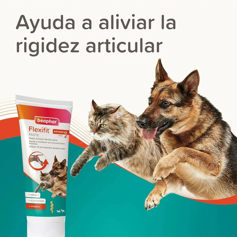 Beaphar Flexifit Pasta - suplemento articular para cães e gatos muito ativos ou com dor nas articulações - sabor a peixe, ômega 3, cálcio, vitamina E e glucosamina - 250 g