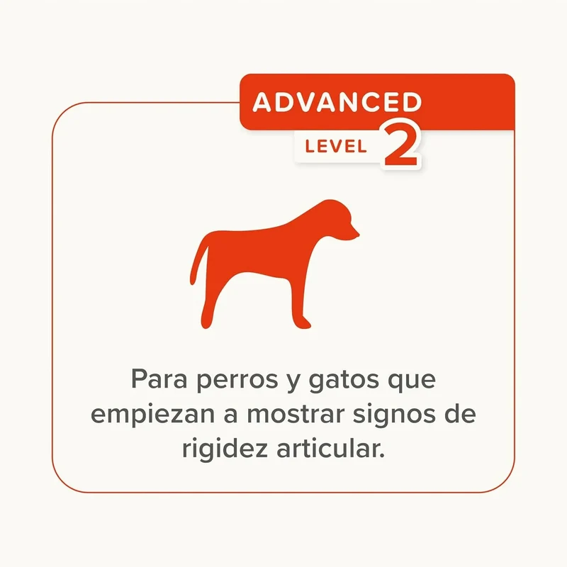 Beaphar Flexifit Pasta - suplemento articular para cães e gatos muito ativos ou com dor nas articulações - sabor a peixe, ômega 3, cálcio, vitamina E e glucosamina - 250 g