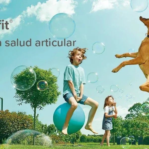 Beaphar Flexifit Pasta - suplemento articular para cães e gatos muito ativos ou com dor nas articulações - sabor a peixe, ômega 3, cálcio, vitamina E e glucosamina - 250 g