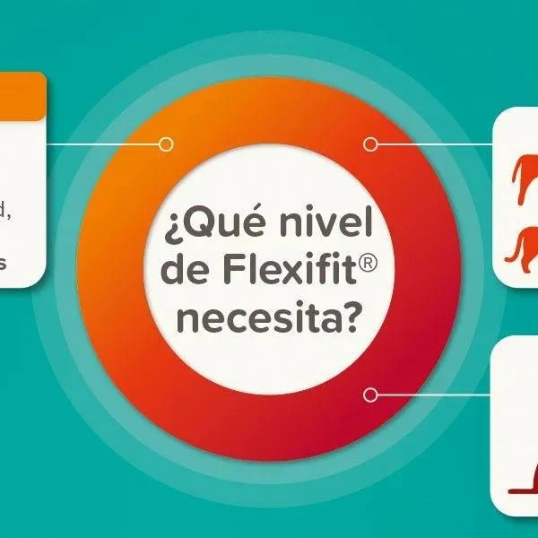 Beaphar Flexifit Pasta - suplemento articular para cães e gatos muito ativos ou com dor nas articulações - sabor a peixe, ômega 3, cálcio, vitamina E e glucosamina - 250 g