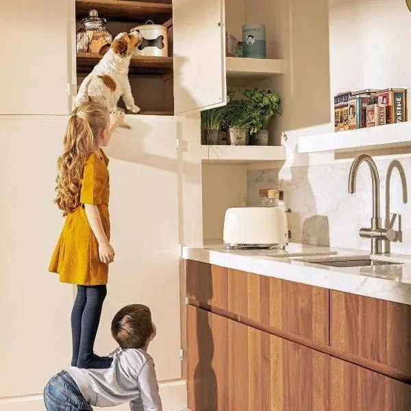 Beaphar Flexifit Pasta - suplemento articular para cães e gatos muito ativos ou com dor nas articulações - sabor a peixe, ômega 3, cálcio, vitamina E e glucosamina - 250 g