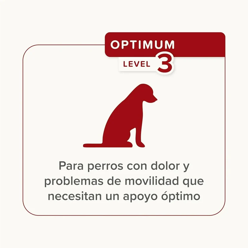Beaphar Flexifit Chews – Suplemento Articular para Cães | Colágénio UC-II, Glucosamina & Ómega 3