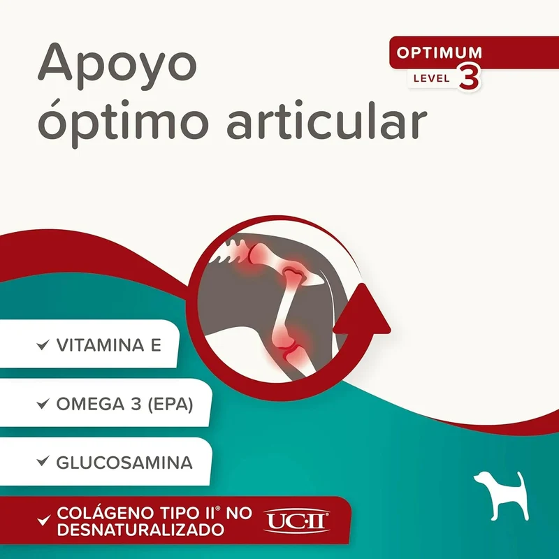 Beaphar Flexifit Chews – Suplemento Articular para Cães | Colágénio UC-II, Glucosamina & Ómega 3