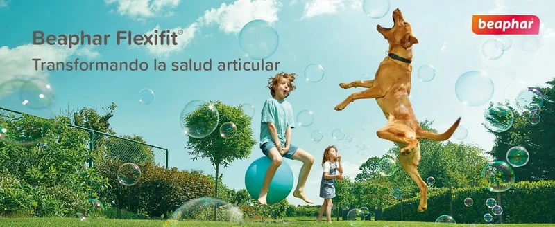 Beaphar Flexifit Chews – Suplemento Articular para Cães | Colágénio UC-II, Glucosamina & Ómega 3
