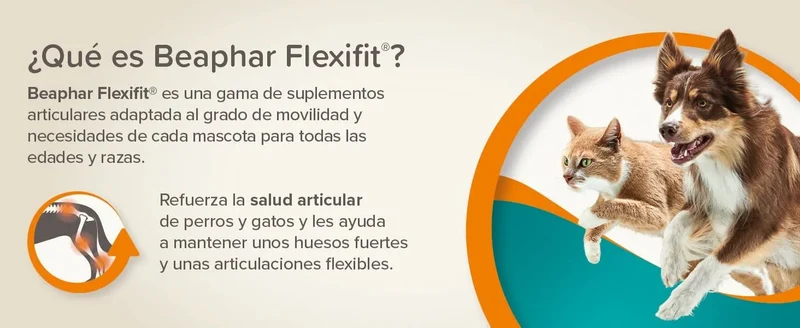 Beaphar Flexifit Chews – Suplemento Articular para Cães | Colágénio UC-II, Glucosamina & Ómega 3