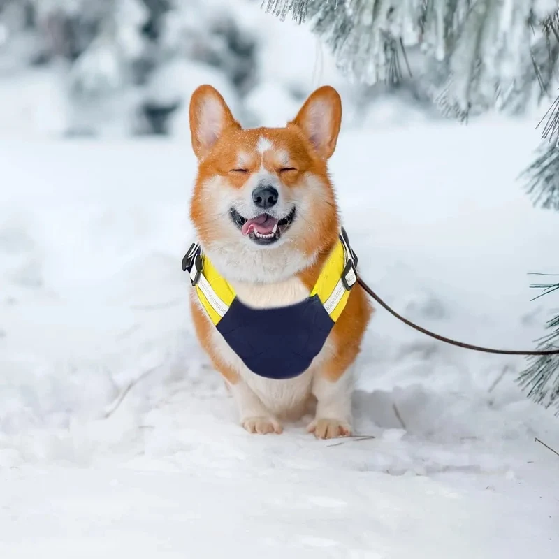 Casaco Vermelho e Azul, Impermeável, para cães, casaco quente com forro polar